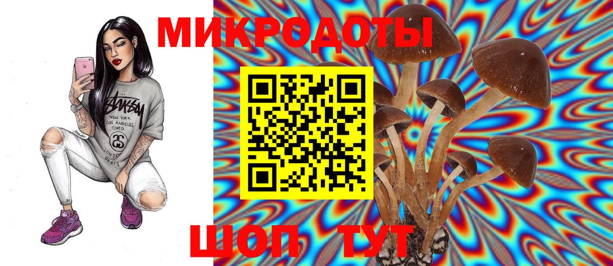 Георгиевск  Галлюциногенные грибы Psilocybine cubensis  Вход с VPN 
