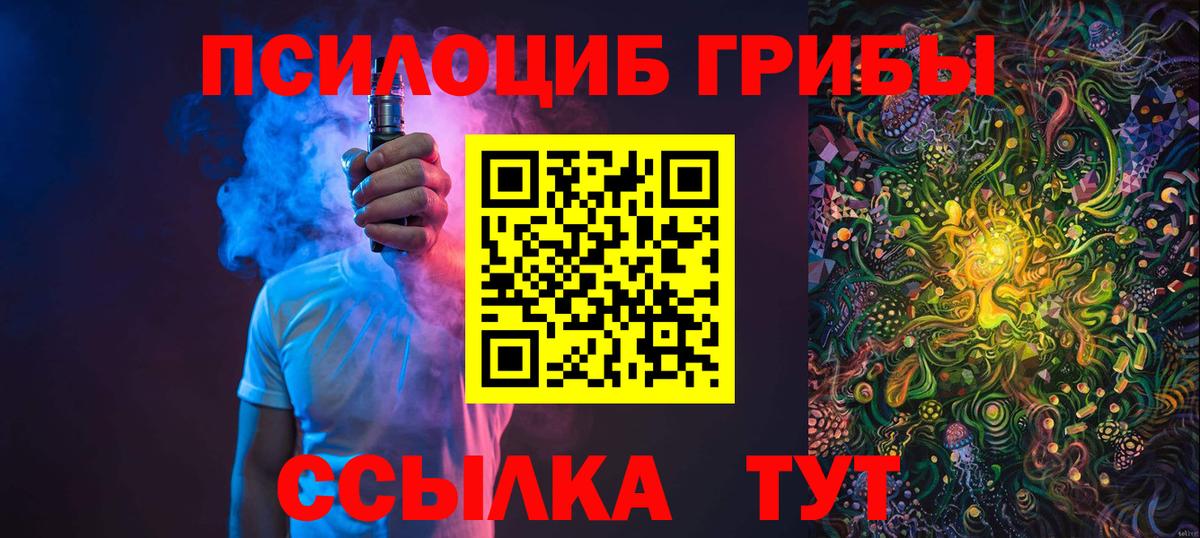 Галлюциногенные грибы Cubensis Георгиевск